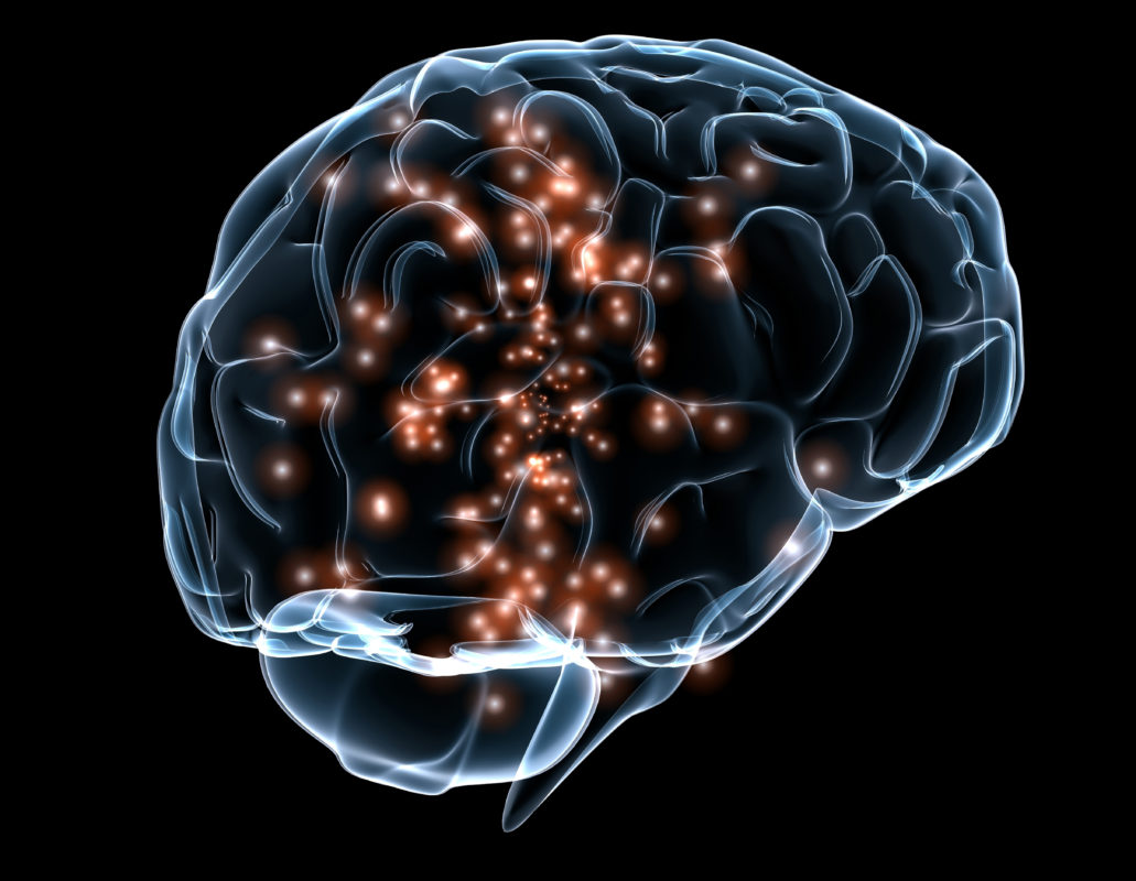 Human Brain Project: el reto de simular el cerebro